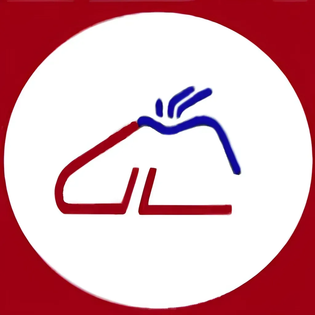 logo luigi grosso